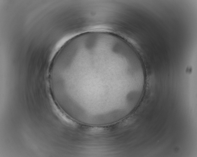 X0000111241470200907161329