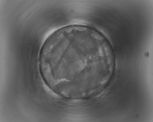 X0000111241471200907161329