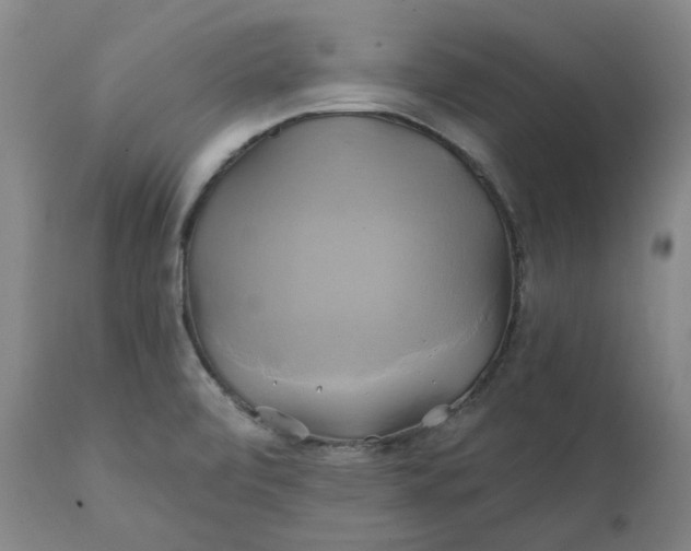 X0000111241472200907161329