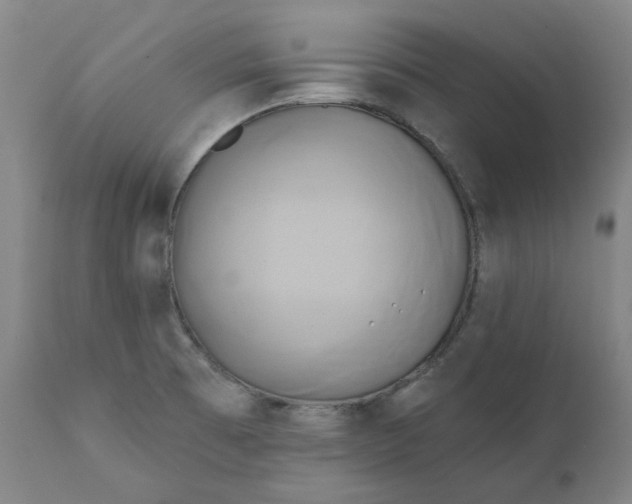 X0000111241473200907161329