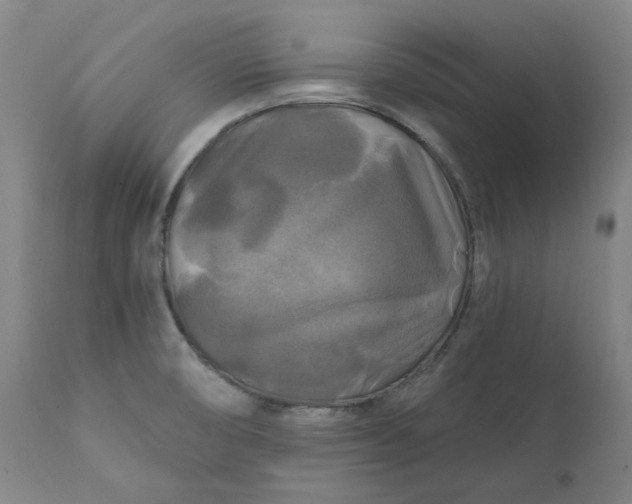 X0000111241474200907161329