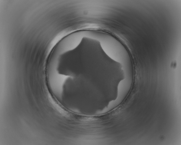 X0000111241475200907161329