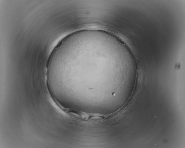 X0000111241476200907161329