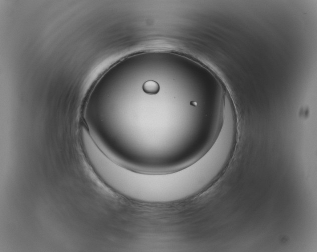 X0000111241477200907161329