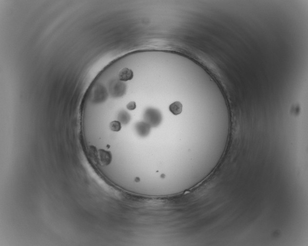 X0000111241479200907161329