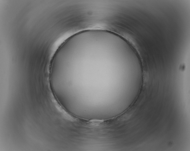 X0000111241480200907161329