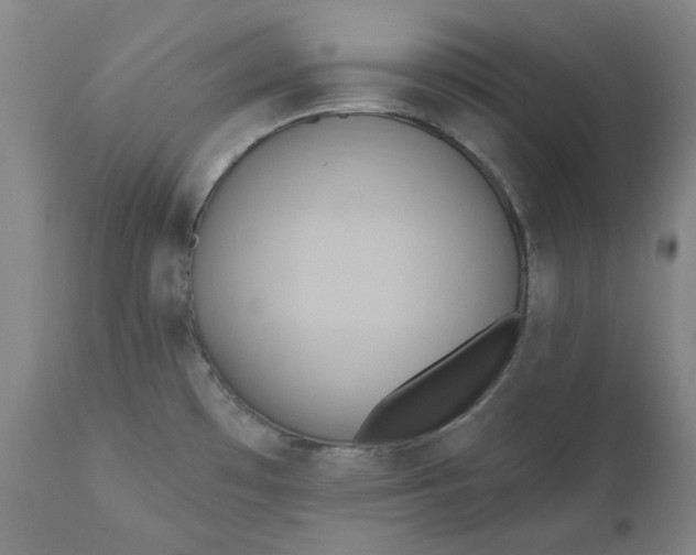 X0000111241481200907161329