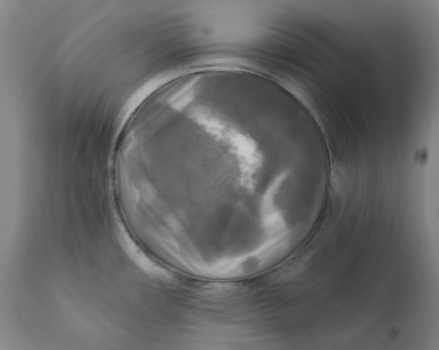 X0000111241482200907161329