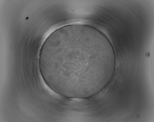 X0000111241483200907161329