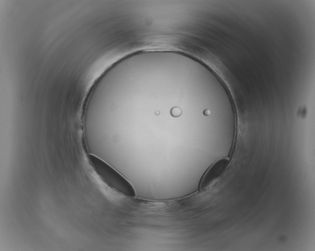 X0000111241485200907161329