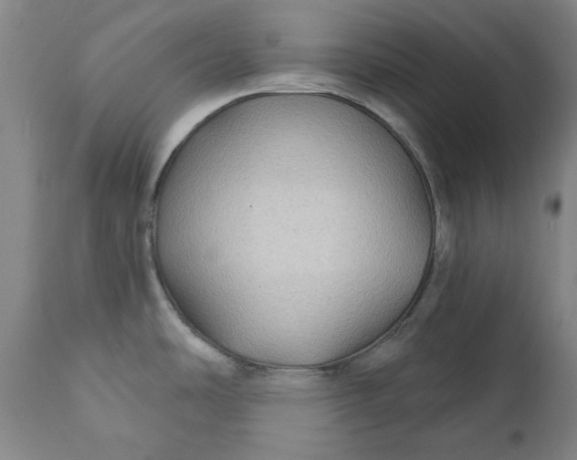 X0000111241486200907161329