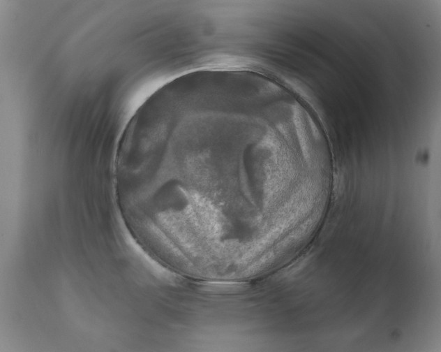 X0000111241487200907161329