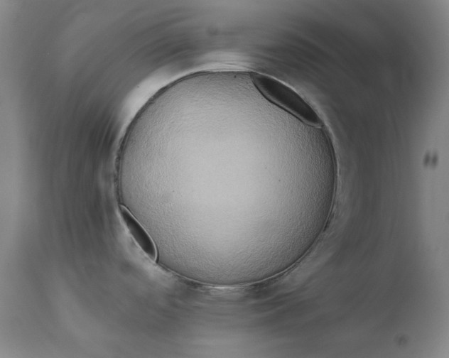 X0000111241488200907161329