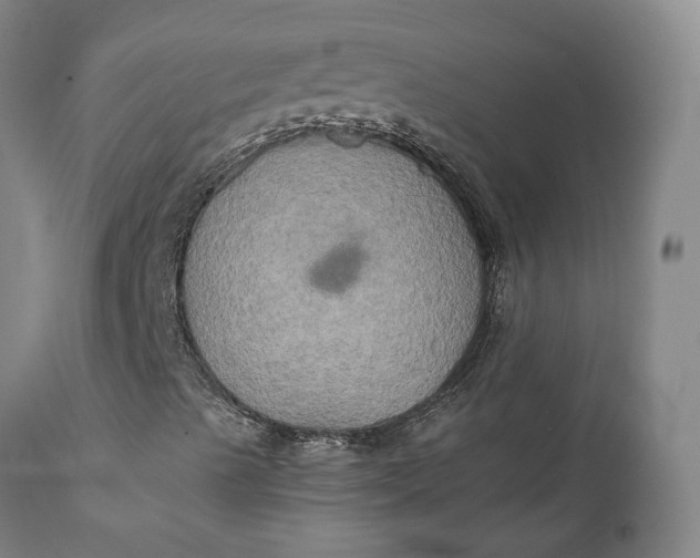 X0000111241489200907161328