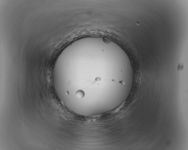 X0000111241490200907161328