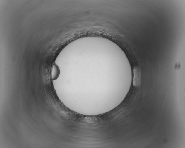 X0000111241491200907161328