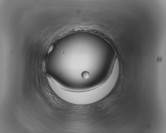 X0000111241492200907161328