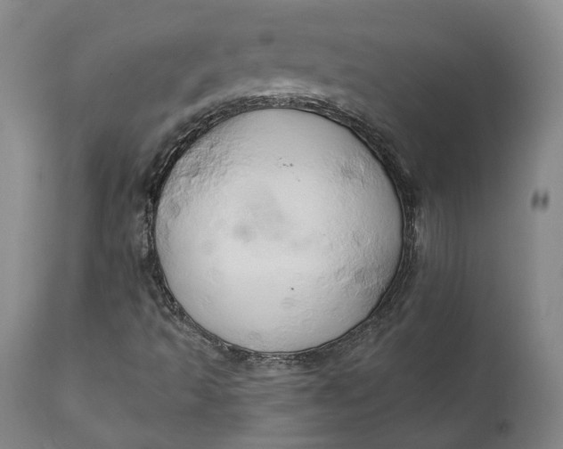 X0000111241493200907161328