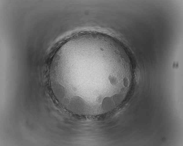 X0000111241494200907161328