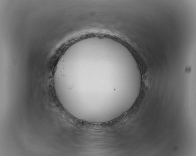 X0000111241495200907161328