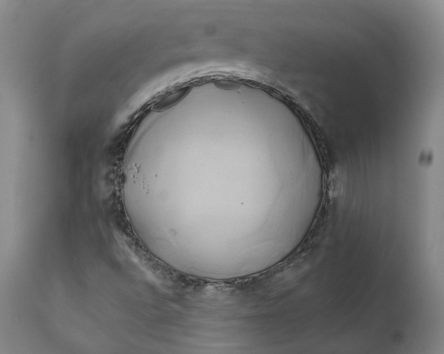 X0000111241496200907161328