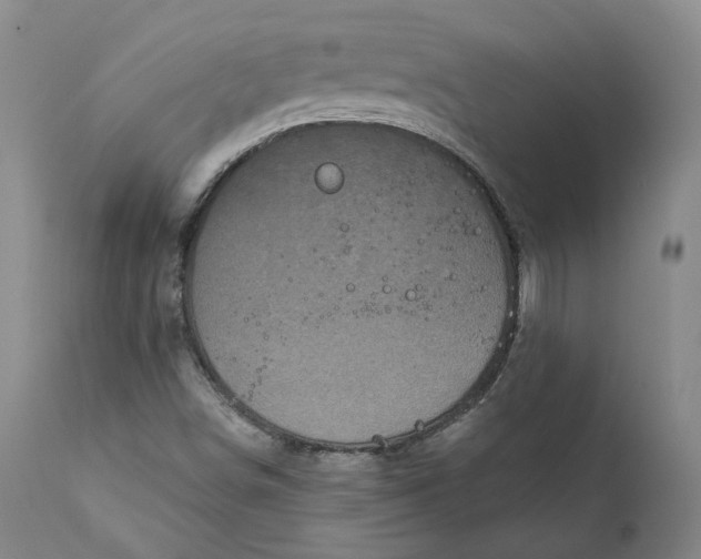 X0000111241498200907161328