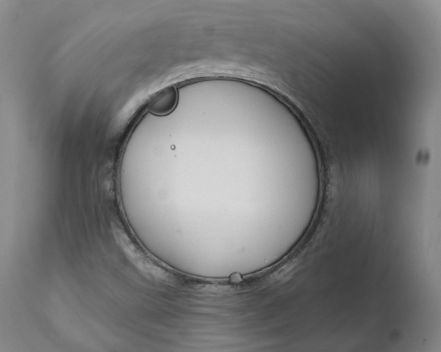 X0000111241499200907161328