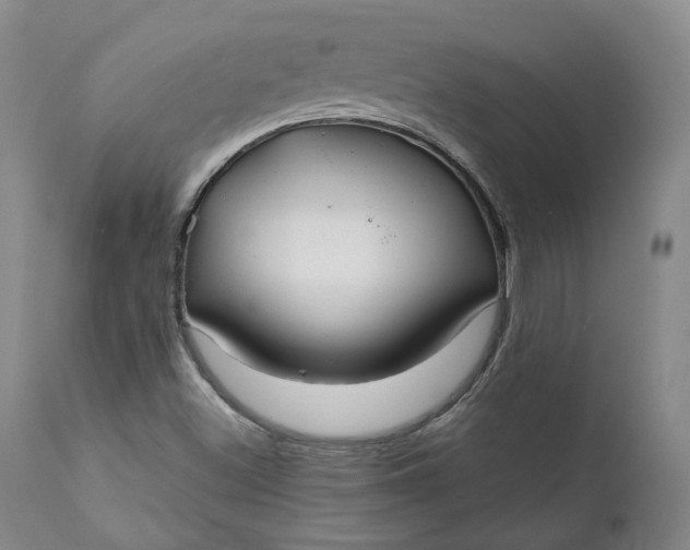 X0000111241500200907161328