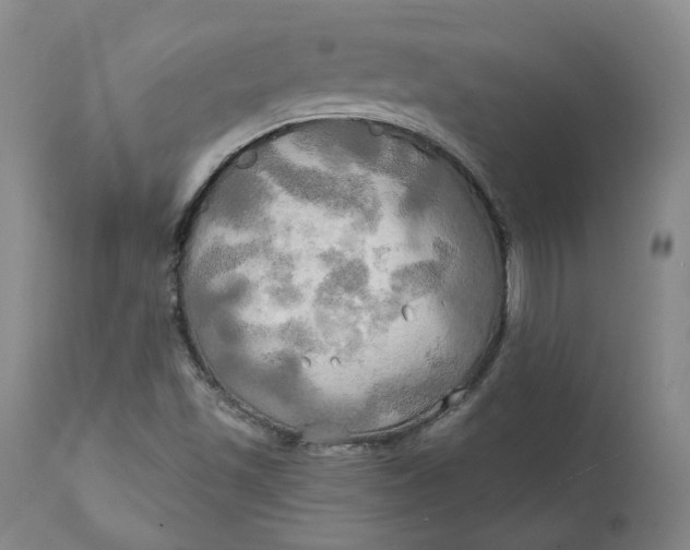 X0000111241501200907161328