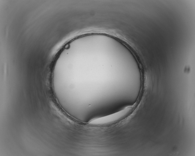 X0000111241502200907161328