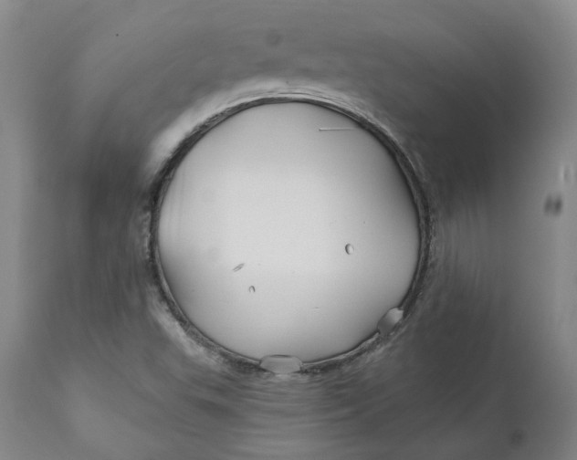 X0000111241503200907161328