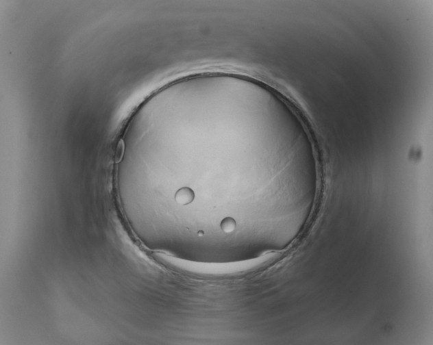 X0000111241504200907161328