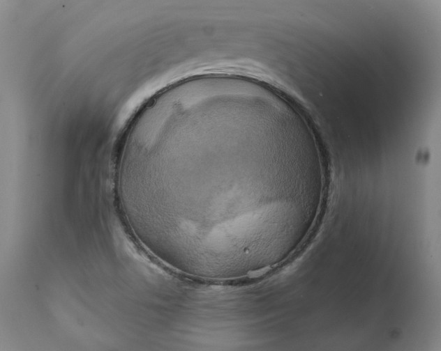 X0000111241506200907161328