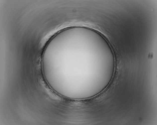 X0000111241507200907161328