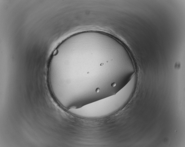 X0000111241508200907161328