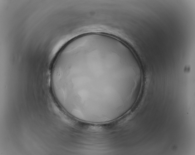 X0000111241509200907161328