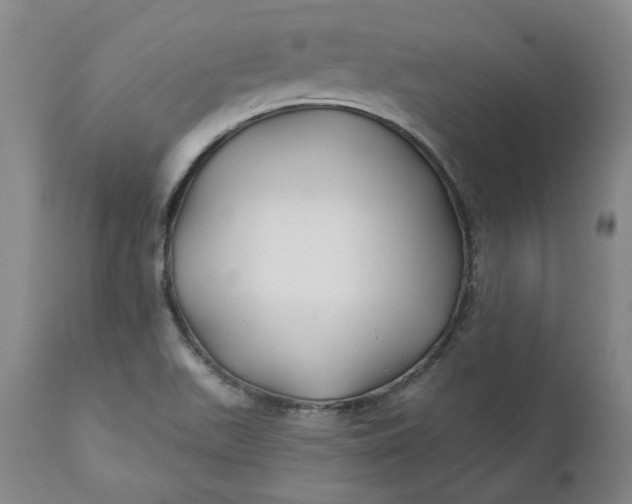 X0000111241511200907161328