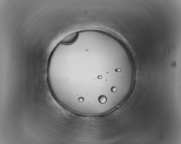 X0000111241512200907161328