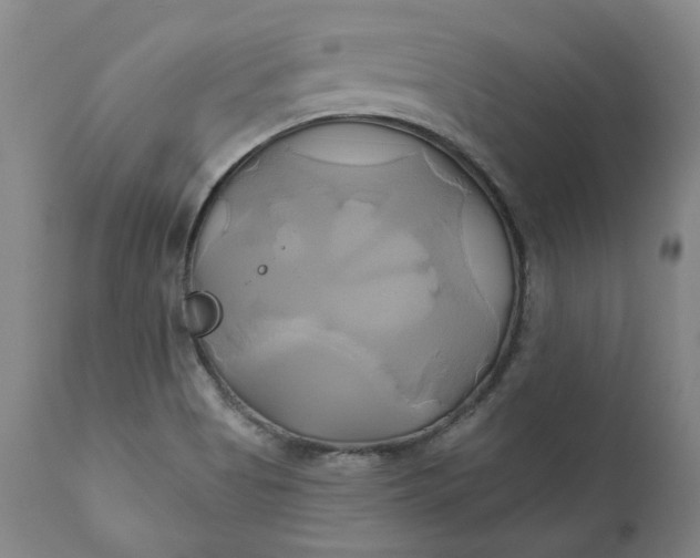 X0000111241513200907161328