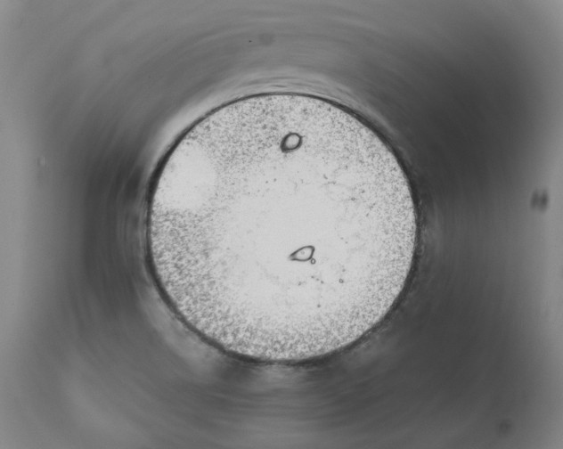 X0000111241514200907161328