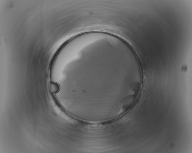 X0000111241515200907161328