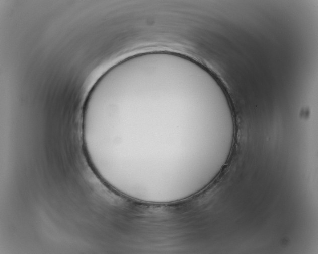 X0000111241516200907161328