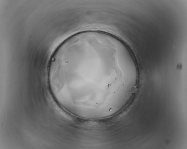 X0000111241517200907161328