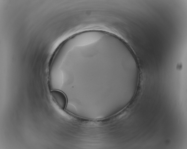 X0000111241519200907161328