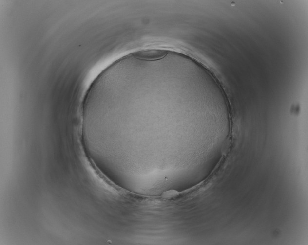 X0000111241520200907161328