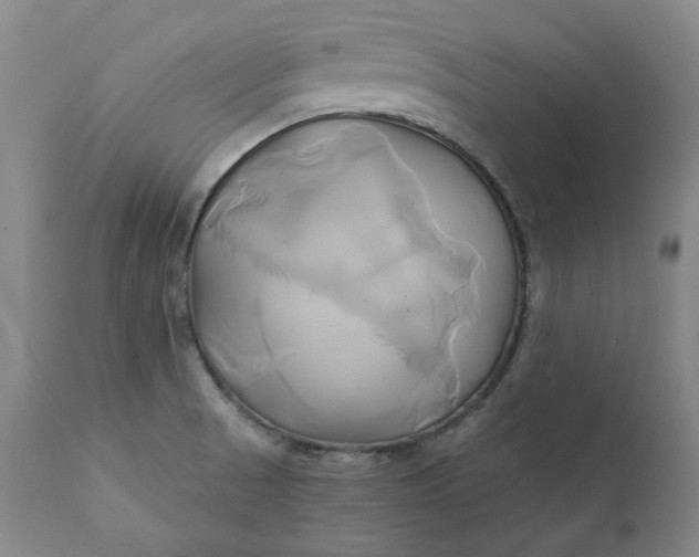 X0000111241521200907161328