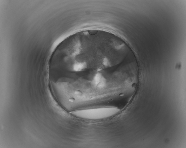 X0000111241522200907161328