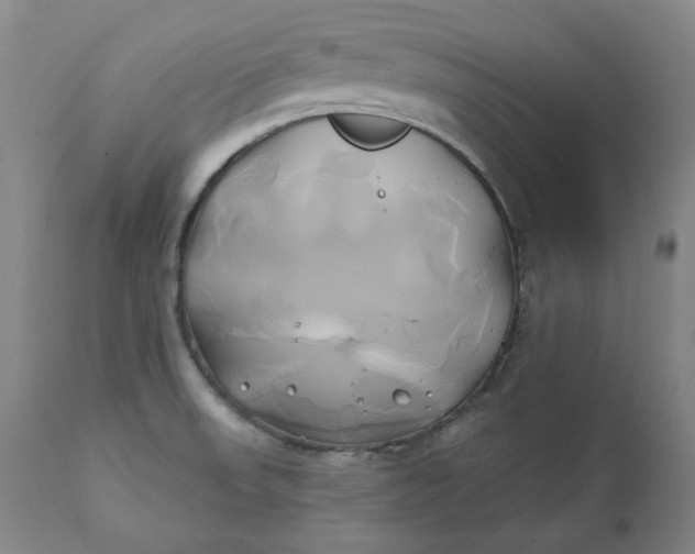 X0000111241523200907161328