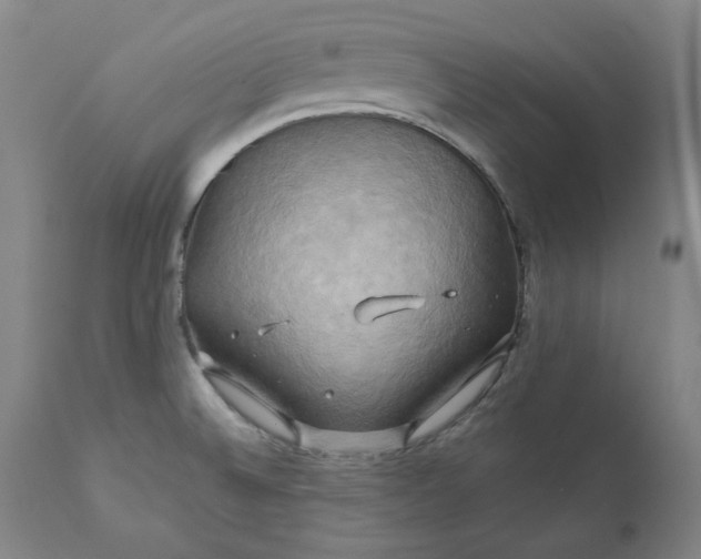 X0000111241524200907161328