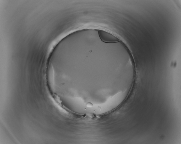 X0000111241525200907161329